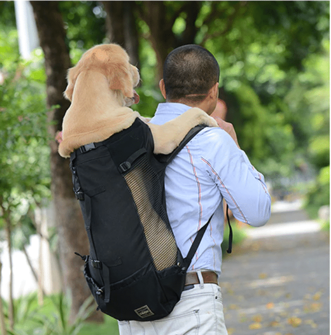 Sac de voyage pour chien type  sac à dos
