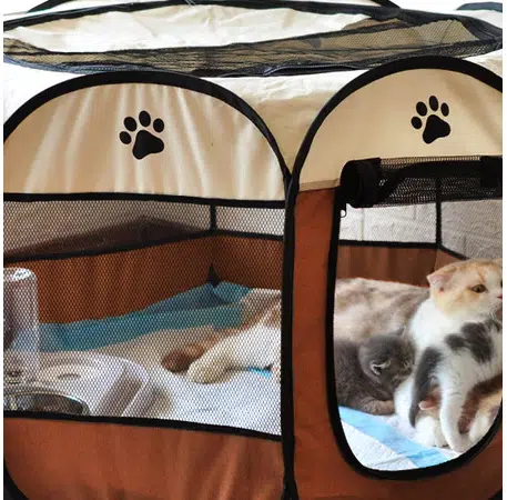 Tente portable pour chien et chat
